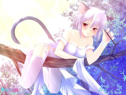 A Catgirl Is Fine Too  Cat girl, Anime, Neko girl